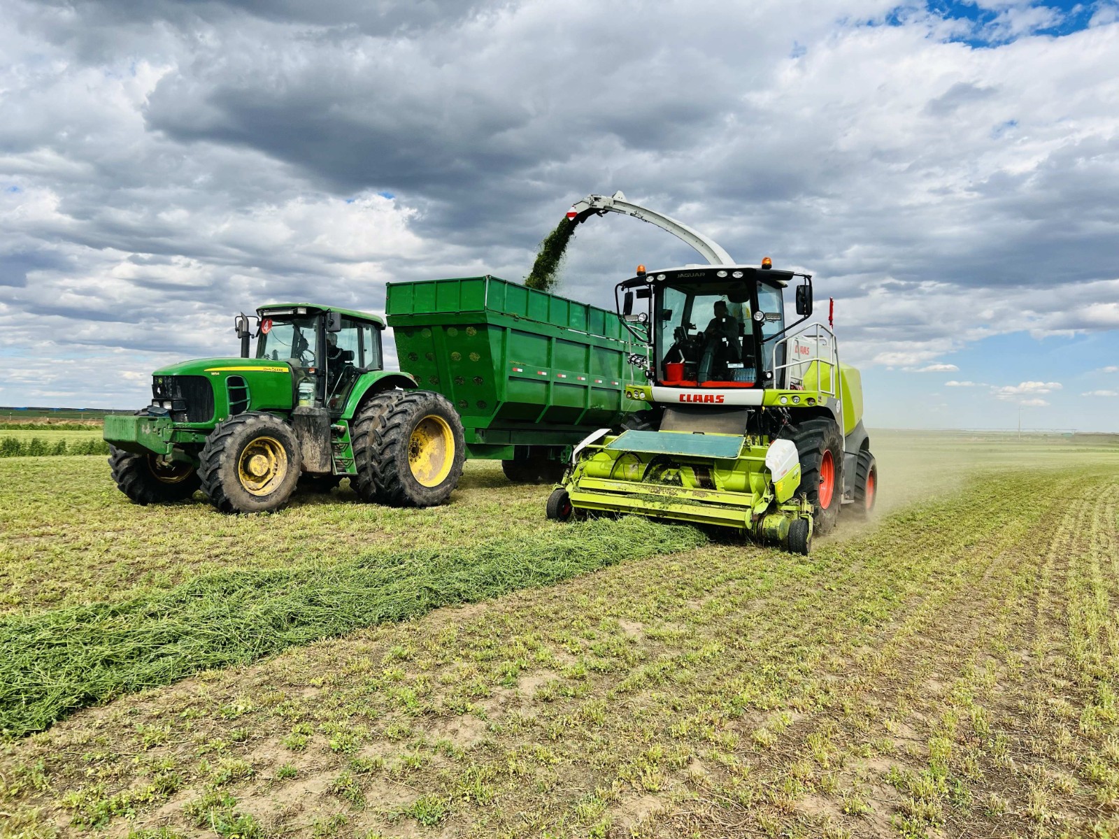 澳门永利唯一官方网址：健全优质牧草生产体系 推动草产业高质量发展